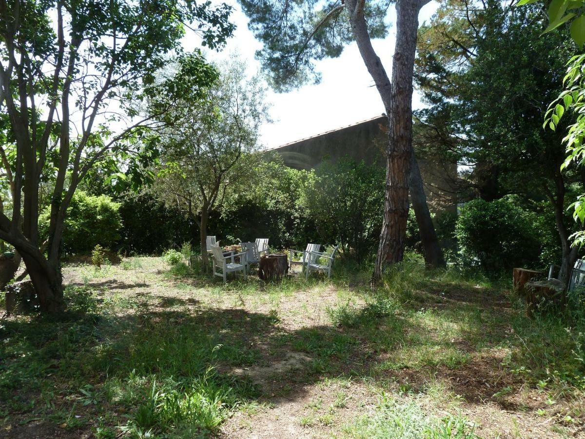 Maison Butterfly Bed & Breakfast Puissalicon Exterior photo